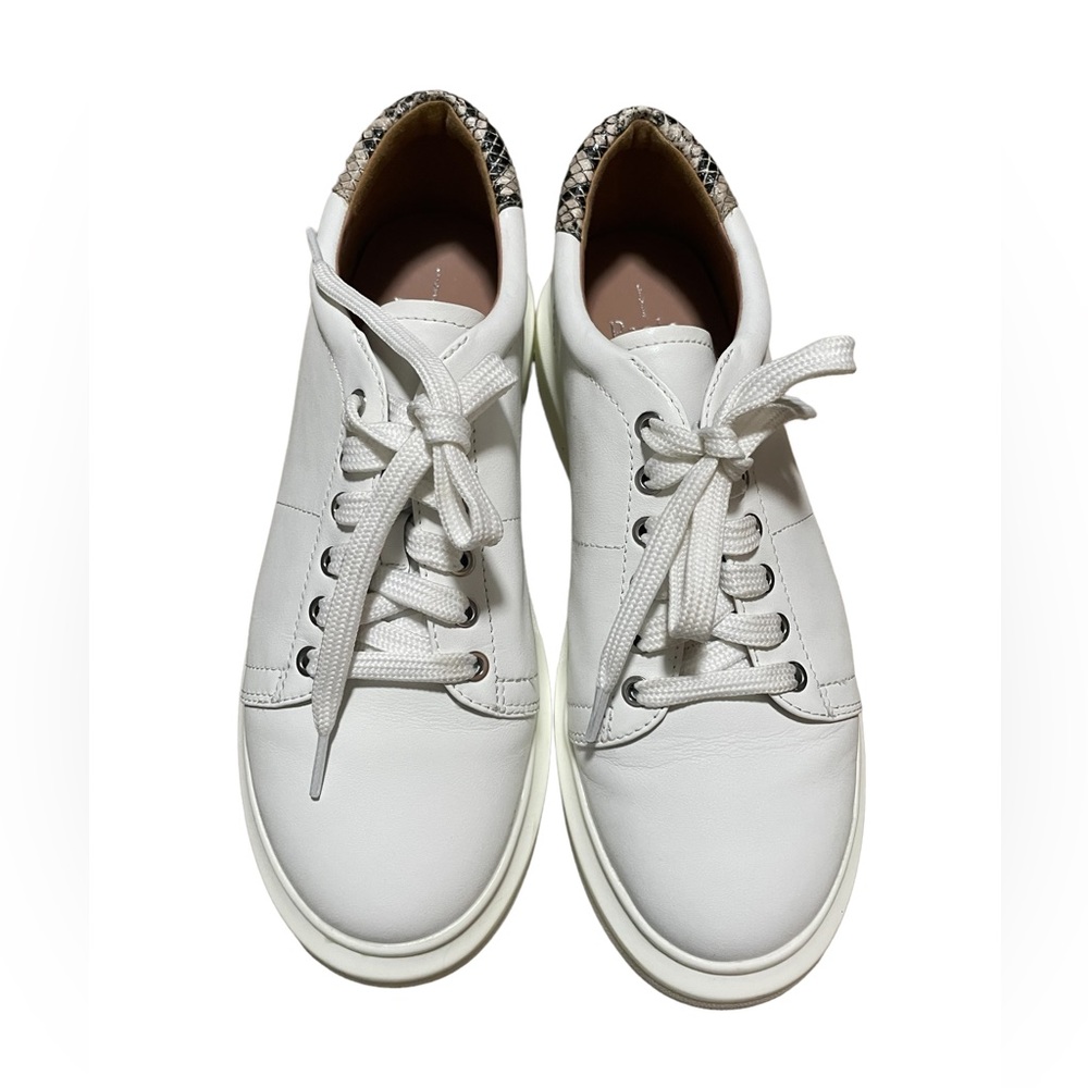 Linea Paolo Kelsey Platform Sneaker